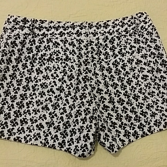 ANN TAYLOR LOFT shorts - Picture 3 of 6